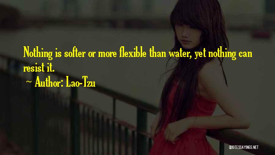 Resist Nothing Quotes By Lao-Tzu