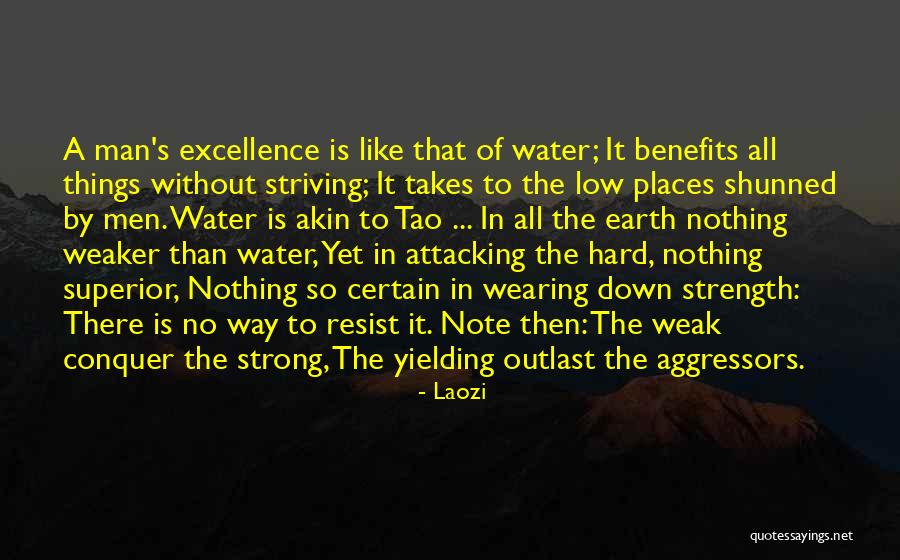 Resist Nothing Quotes By Laozi Resist Nothing Quotes By Laozi