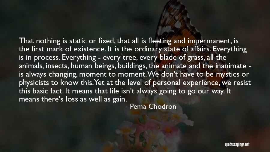 Resist Nothing Quotes By Pema Chodron