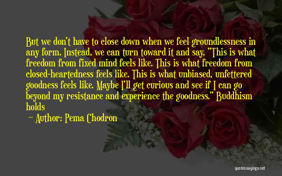 Resistance And Freedom Quotes By Pema Chodron