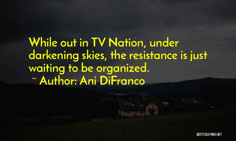 Resistance To Change Quotes By Ani DiFranco
