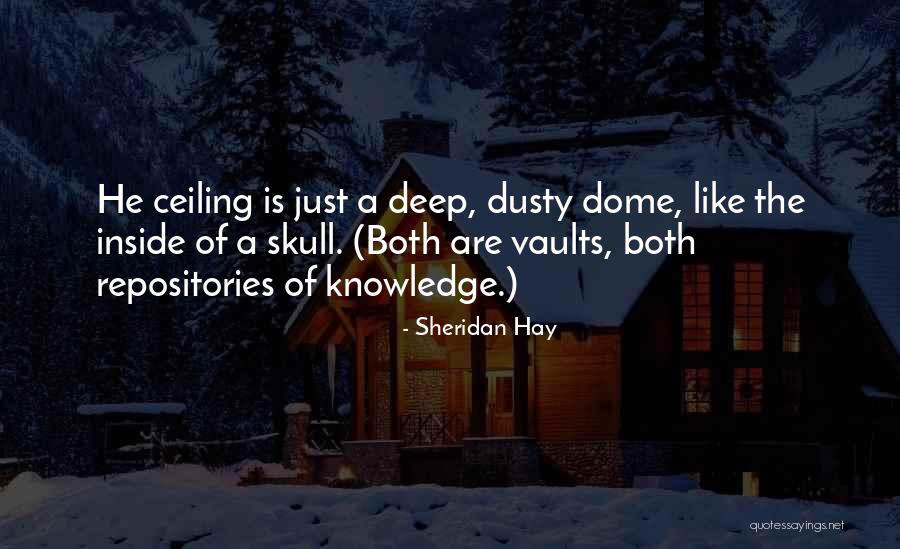 Resistensi Antibiotik Quotes By Sheridan Hay Resistensi Antibiotik Quotes By Sheridan Hay