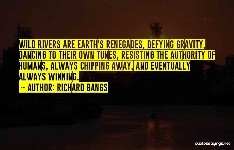 Resisting Authority Quotes By Richard Bangs