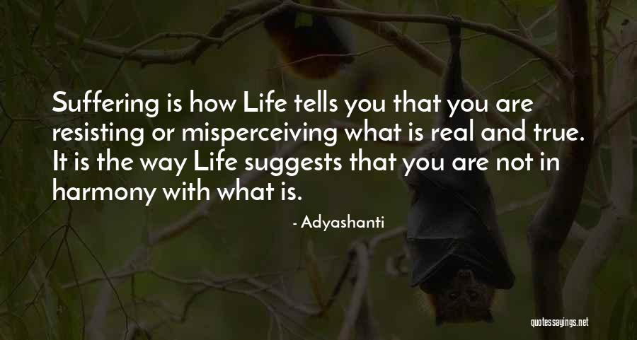 Resisting Her Quotes By Adyashanti Resisting Her Quotes By Adyashanti