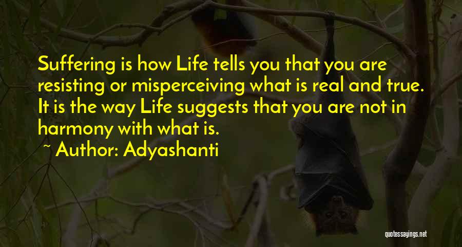 Resisting Quotes By Adyashanti