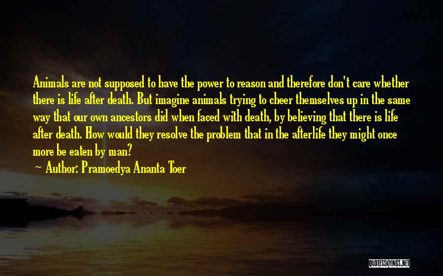 Resolve Problem Quotes By Pramoedya Ananta Toer