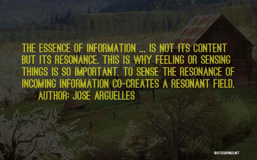 Resonance Quotes By Jose Arguelles