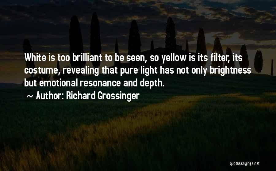 Resonance Quotes By Richard Grossinger