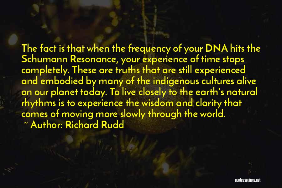 Resonance Quotes By Richard Rudd