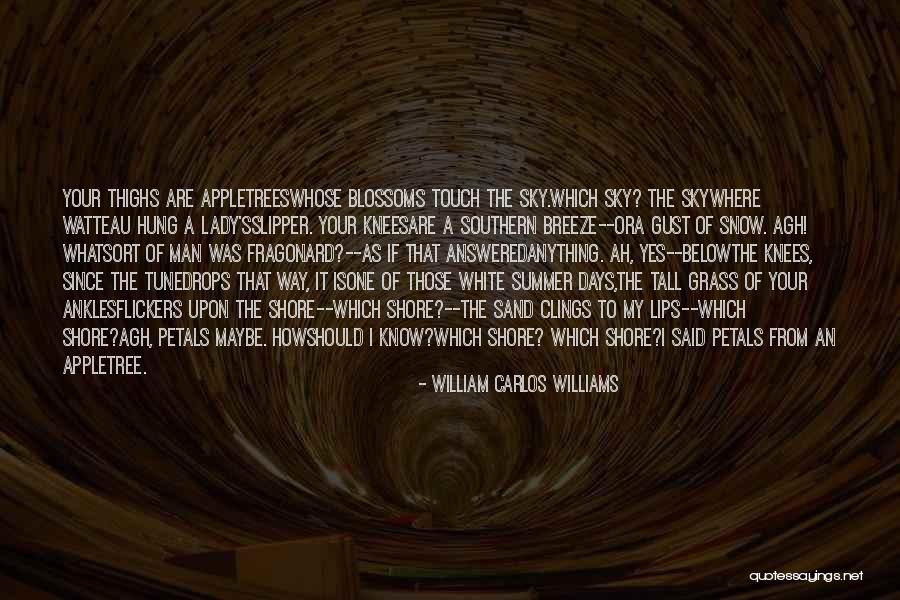 Resortes Memes Quotes By William Carlos Williams Resortes Memes Quotes By William Carlos Williams