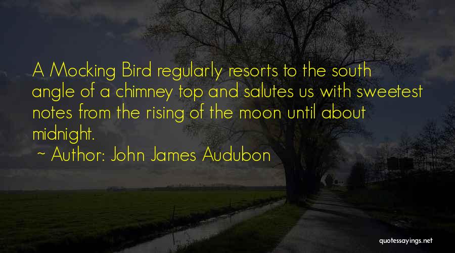 Resorts Quotes By John James Audubon