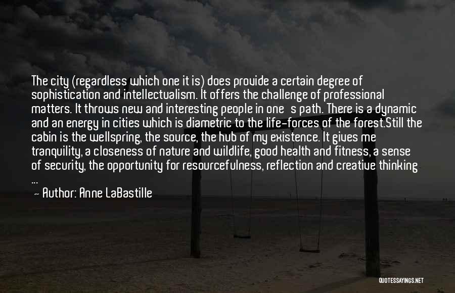 Resourcefulness Quotes By Anne LaBastille