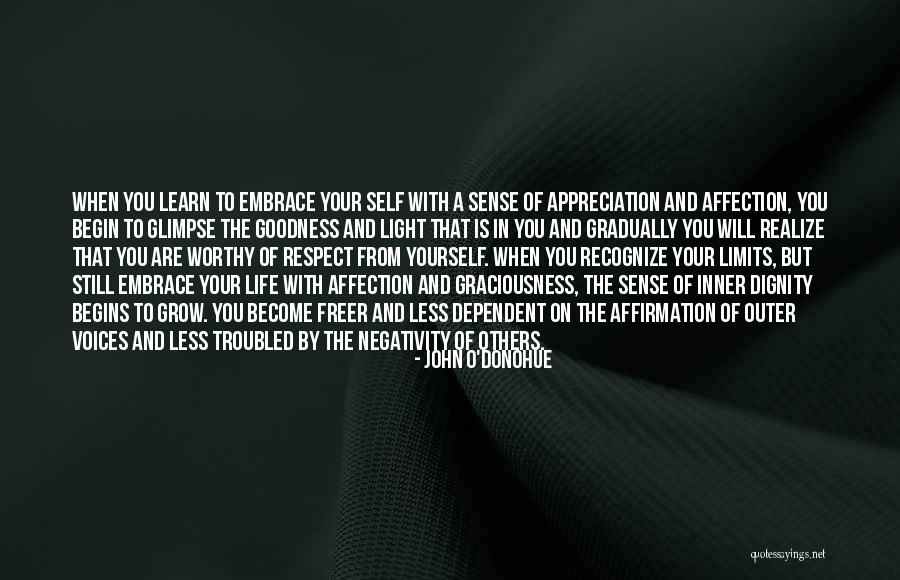 Respect And Dignity Quotes By John O'Donohue Respect And Dignity Quotes By John O'Donohue