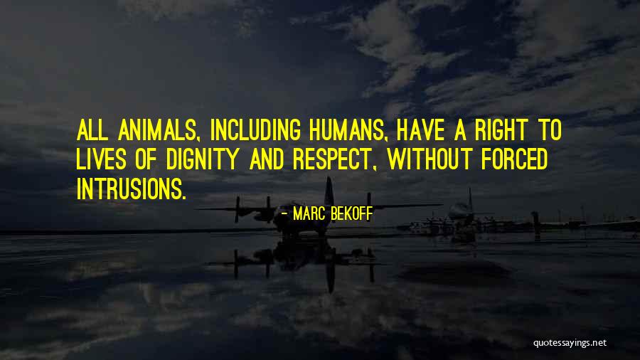Respect And Dignity Quotes By Marc Bekoff Respect And Dignity Quotes By Marc Bekoff
