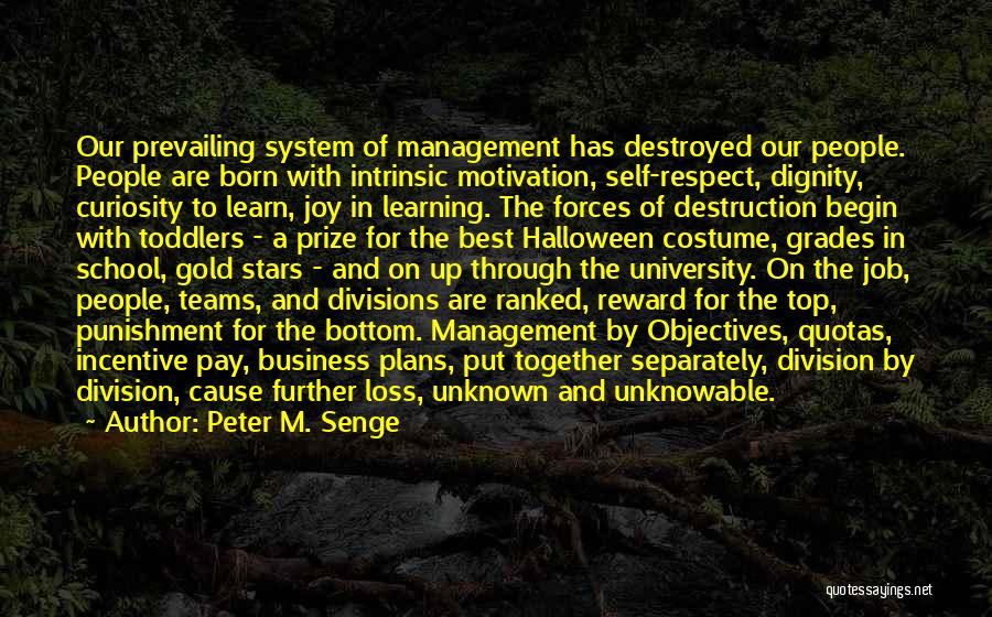 Respect Best Quotes By Peter M. Senge