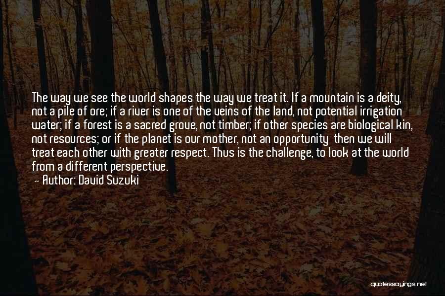 Respect Each Other Quotes By David Suzuki