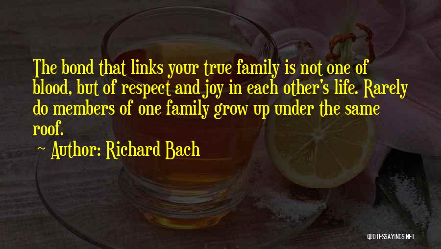 Respect Each Other Quotes By Richard Bach