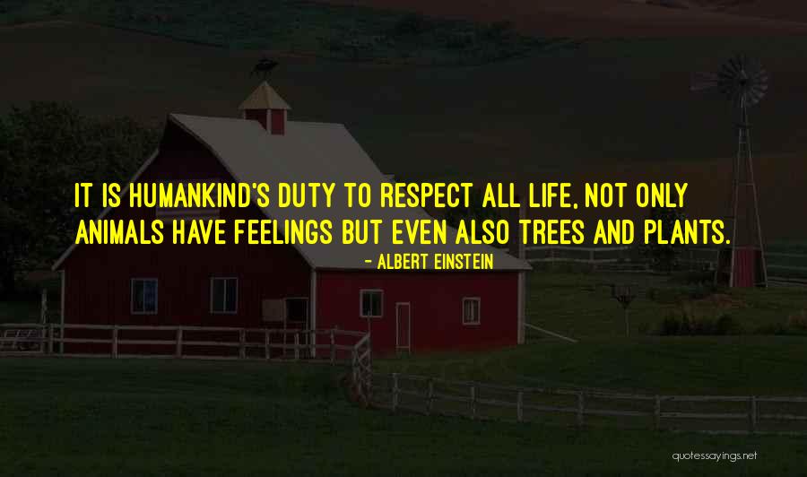 Respect Feelings Quotes By Albert Einstein Respect Feelings Quotes By Albert Einstein