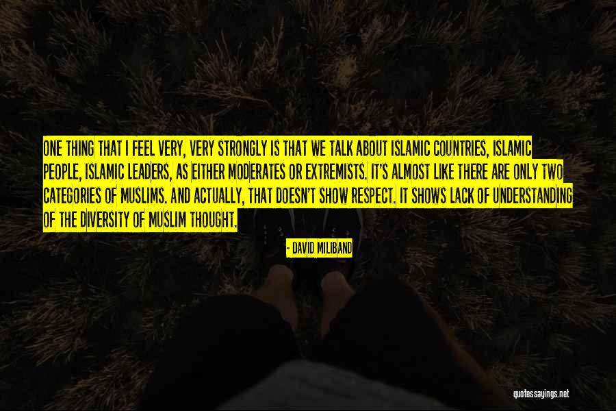 Respect For Diversity Quotes By David Miliband Respect For Diversity Quotes By David Miliband