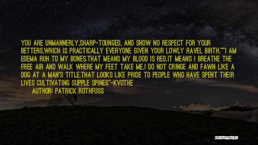 Respect For Everyone Quotes By Patrick Rothfuss