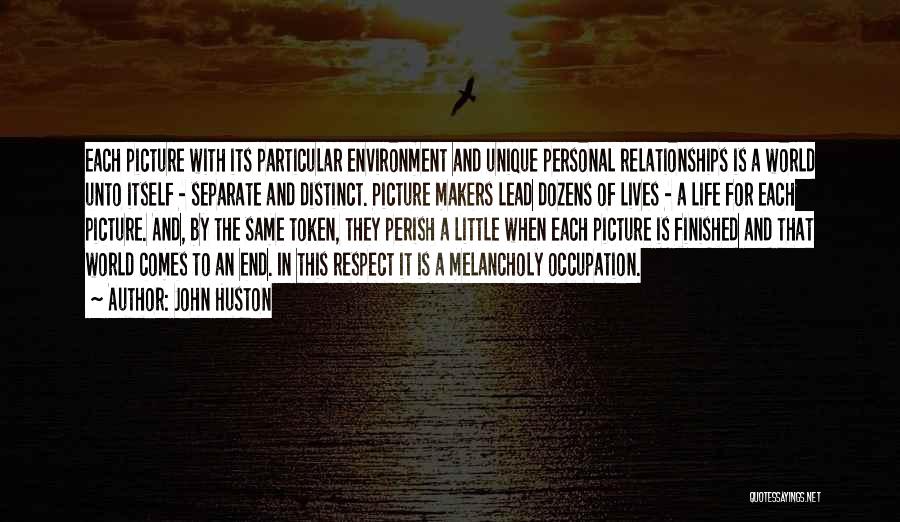 Respect For The Environment Quotes By John Huston