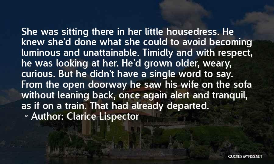 Respect For Your Wife Quotes By Clarice Lispector