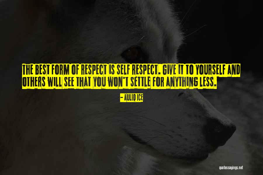 Respect For Yourself And Others Quotes By Auliq Ice