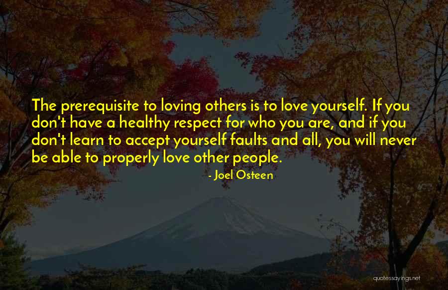 Respect For Yourself And Others Quotes By Joel Osteen