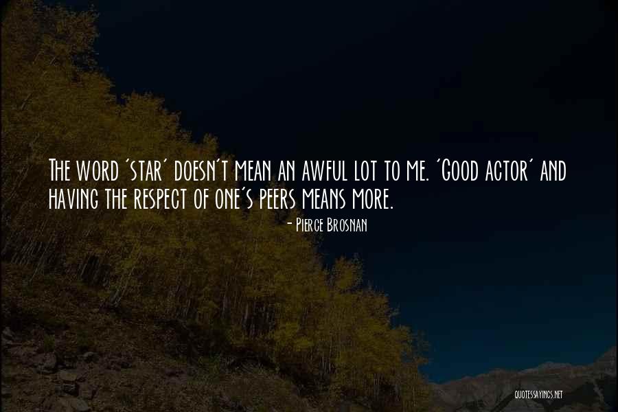 Respect Peers Quotes By Pierce Brosnan Respect Peers Quotes By Pierce Brosnan