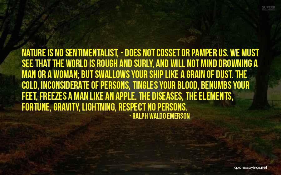 Respect Your World Quotes By Ralph Waldo Emerson