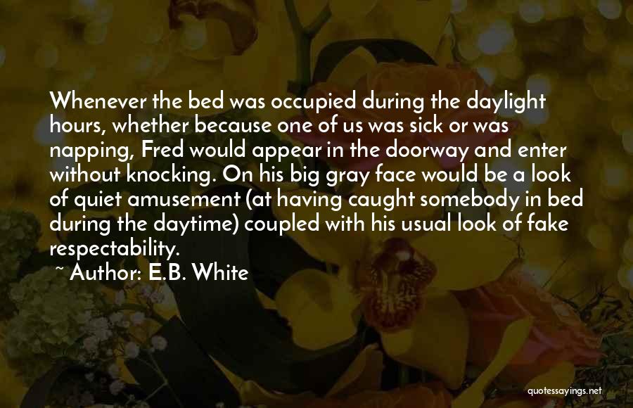 Respectability Quotes By E.B. White