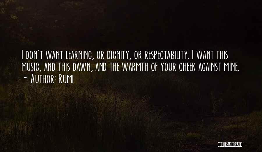 Respectability Quotes By Rumi