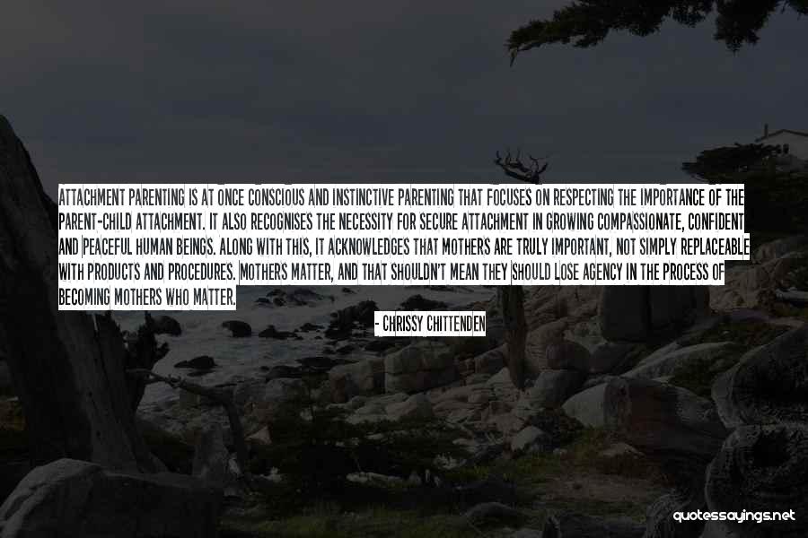 Respecting Others And Yourself Quotes By Chrissy Chittenden Respecting Others And Yourself Quotes By Chrissy Chittenden