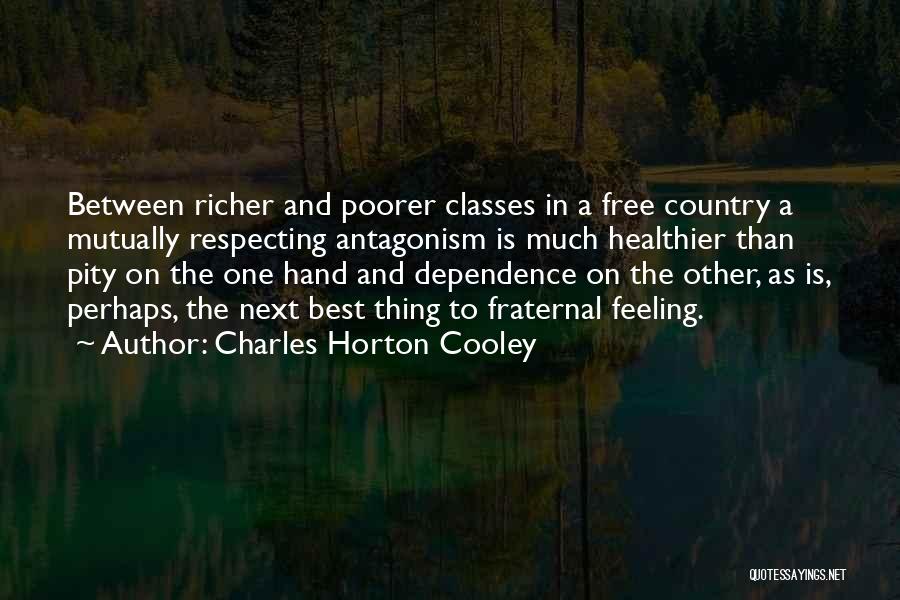 Respecting Our Country Quotes By Charles Horton Cooley