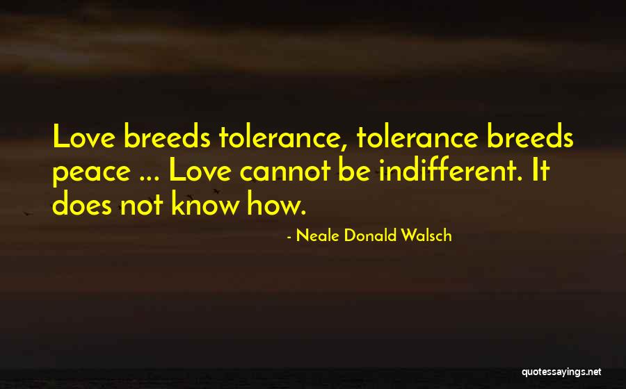 Respecting Parents In Islam Quotes By Neale Donald Walsch Respecting Parents In Islam Quotes By Neale Donald Walsch