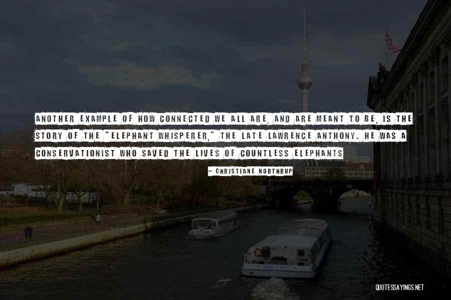 Respetuoso Antonimo Quotes By Christiane Northrup Respetuoso Antonimo Quotes By Christiane Northrup