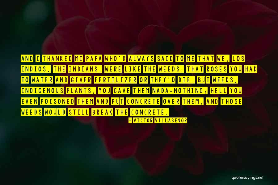 Respiracion Branquial Quotes By Victor Villasenor Respiracion Branquial Quotes By Victor Villasenor