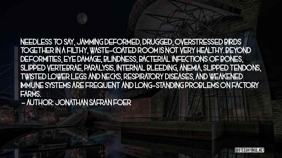 Respiratory Diseases Quotes By Jonathan Safran Foer