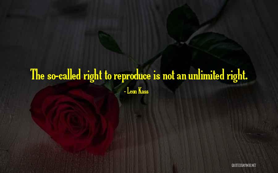 Resplendor Noticias Quotes By Leon Kass Resplendor Noticias Quotes By Leon Kass