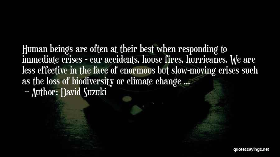 Responding To A Loss Quotes By David Suzuki