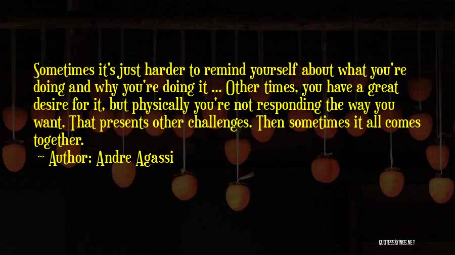 Responding To Challenges Quotes By Andre Agassi