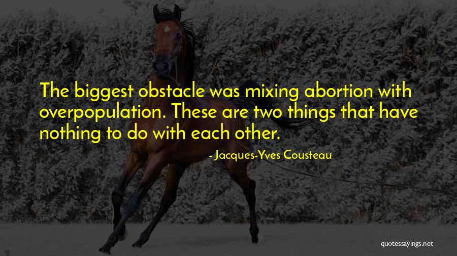 Responsibiity Quotes By Jacques-Yves Cousteau Responsibiity Quotes By Jacques-Yves Cousteau