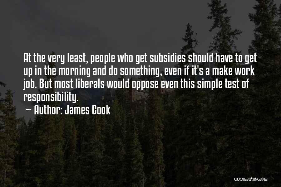 Responsibility At Work Quotes By James Cook