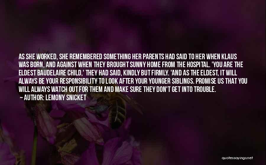 Responsibility For Family Quotes By Lemony Snicket