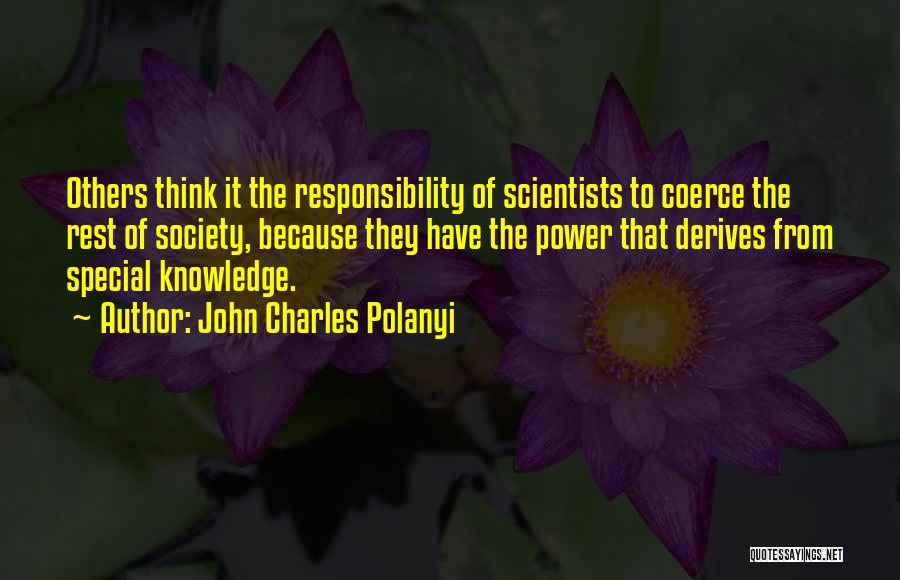 Responsibility To Others Quotes By John Charles Polanyi