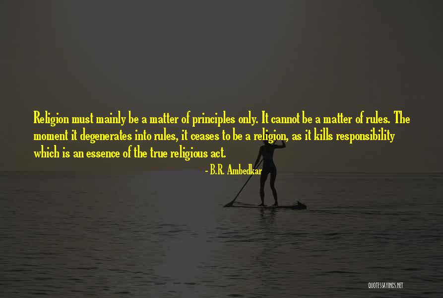 Responsibility To Society Quotes By B.R. Ambedkar Responsibility To Society Quotes By B.R. Ambedkar