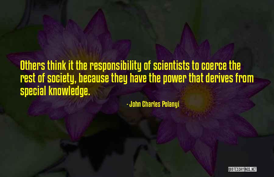 Responsibility To Society Quotes By John Charles Polanyi