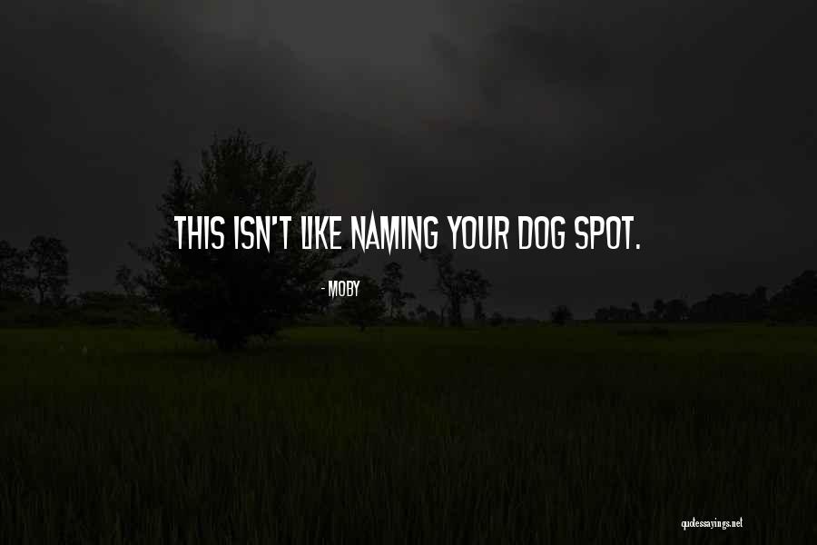 Ressemble Conjugaison Quotes By Moby Ressemble Conjugaison Quotes By Moby