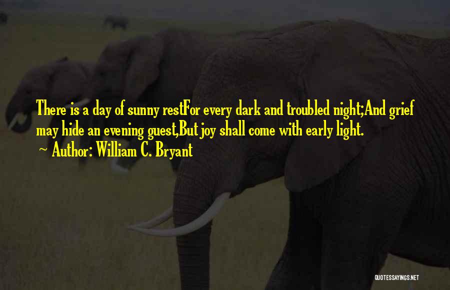 Rest Day Quotes By William C. Bryant