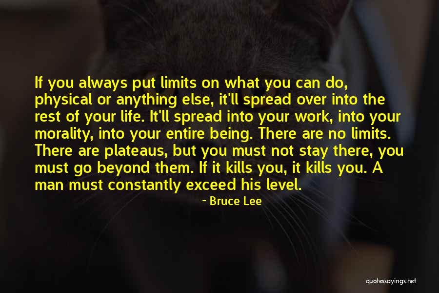 Rest If You Must Quotes By Bruce Lee Rest If You Must Quotes By Bruce Lee